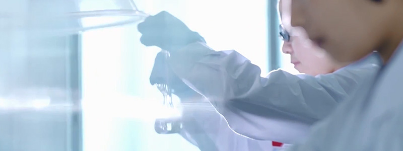 梦之城(中国游) - 官方网站